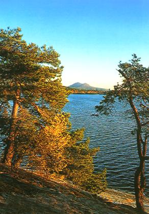Postcard