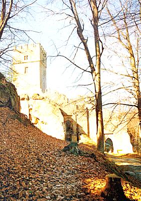 Postcard