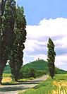 Bezdz, hrad